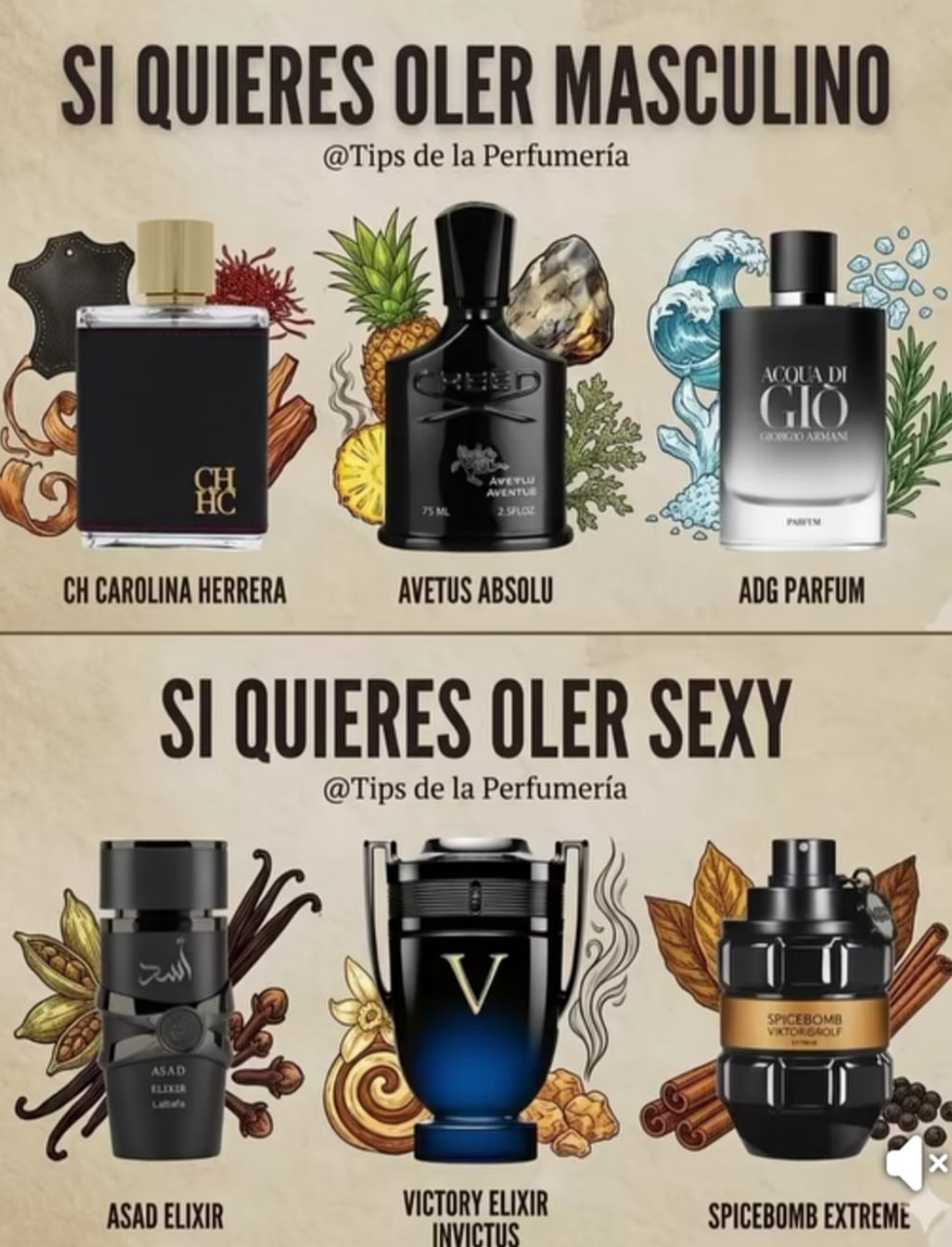 Maculino y Sexy